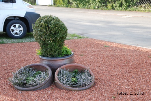 Rall_Dettingen (16).JPG